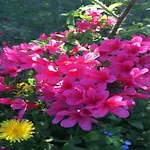 Havel River Houseboat