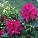 Havel River Houseboat *