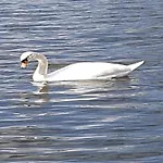 Havel River Houseboat * Zehdenick