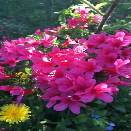 Havel River Houseboat