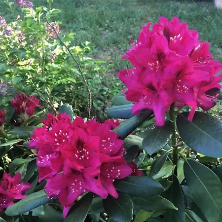 Havel River Houseboat *