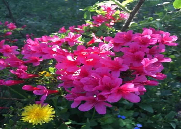 Havel River Houseboat