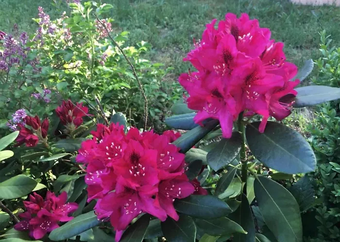 Havel River Houseboat *