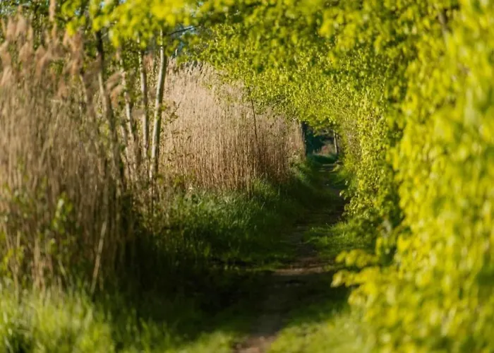 Hotel en barco Havel River Houseboat *
