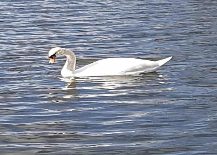 Havel River Houseboat * Zehdenick